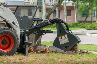 Industrial stump grinder operating on a stump. 