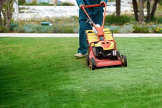 A man maintaining and mowing a lawn with a high powered lawn mower.