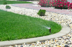 Green Lawn watered by a single sprinkler.