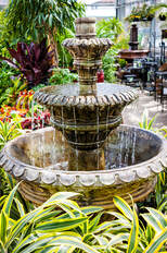 Beautiful fountain birdbath inside a green house with lots of plants